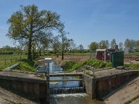 NL, Noord-Brabant, Boxmeer, St Jansbeek 1, Saxifraga-Marijke Verhagen