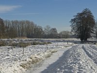 NL, Noord-Brabant, Eindhoven, Bokt 2, Saxifraga-Marijke Verhagen