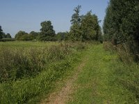 NL, Noord-Brabant, Hilvarenbeek, Biestse Gemeynt 9, Saxifraga-Jan van der Straaten