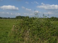 NL, Noord-Brabant, Hilvarenbeek, Spruitenstroompje 13, Saxifraga-Jan van der Straaten