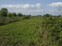 NL, Noord-Brabant, Hilvarenbeek, Spruitenstroompje 14, Saxifraga-Jan van der Straaten