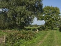 NL, Noord-Brabant, Hilvarenbeek, Spruitenstroompje 18, Saxifraga-Jan van der Straaten