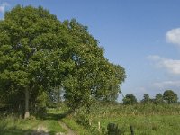 NL, Noord-Brabant, Hilvarenbeek, Spruitenstroompje 29, Saxifraga-Jan van der Straaten