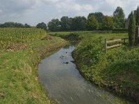 NL, Noord-Brabant, Hilvarenbeek, Spruitenstroompje 34, Saxifraga-Jan van der Straaten