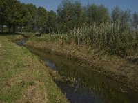 NL, Noord-Brabant, Hilvarenbeek, Spruitenstroompje 8, Saxifraga-Jan van der Straaten