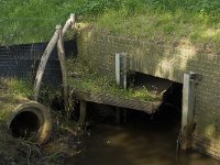 NL, Noord-Brabant, Oisterwijk, De Gement 9, Saxifraga-Jan van der Straaten