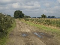 NL, Noord-Brabant, Oisterwijk, Den Opslag 12, Saxifraga-Jan van der Straaten