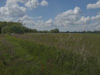 NL, Noord-Brabant, Oisterwijk, Helsbroek 8, Saxifraga-Jan van der Straaten