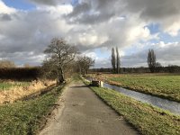 NL, Noord-Brabant, Oisterwijk, Hoevensesteeg 2, Saxifraga-Jan van der Straaten