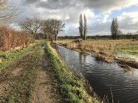 NL, Noord-Brabant, Oisterwijk, Hoevensesteeg 4, Saxifraga-Jan van der Straaten