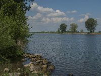 NL, Noord-Brabant, Oss, Middelwaard 10, Saxifraga-Jan van der Straaten