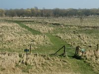 NL, Noord-Brabant, Steenbergen, Slikken van de Heen 5, Saxifraga-Jan van der Straaten