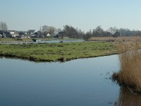 NL, Noord-Holland, Oostzaan, Polder Oostzaan 6, Saxifraga-Marijke Verhagen