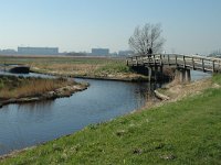 NL, Noord-Holland, Oostzaan, Polder Oostzaan 7, Saxifraga-Marijke Verhagen