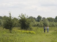 NL, Overijssel, Deventer, Ossenwaard 2, Saxifraga-Mark Zekhuis