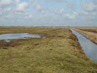 NL, Zuid-Holland, Strijen, Het Oudeland van Strijen 11, Saxifraga-Jan van der Straaten