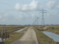 NL, Zuid-Holland, Strijen, Het Oudeland van Strijen 3, Saxifraga-Jan van der Straaten