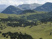 F, Drome, Treschenu-Creyers, Abri de l' Essaure 14, Saxifraga-Willem van Kruijsbergen