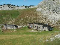 F, Drome, Treschenu-Creyers, Bergerie de Chamousset 2, Saxifraga-Jan van der Straaten