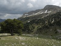 F, Drome, Treschenu-Creyers, Vallon de Combeau 32, Saxifraga-Jan van der Straaten