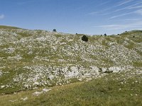 F, Drome, Treschenu-Creyers, Vallon de Combeau 51, Saxifraga-Willem van Kruijsbergen