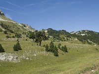 F, Drome, Treschenu-Creyers, Vallon de Combeau 73, Saxifraga-Willem van Kruijsbergen