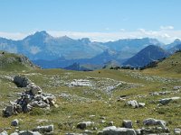 F, Drome, Treschenu-Creyers, Vallon de Combeau 8, Saxifraga-Jan van der Straaten