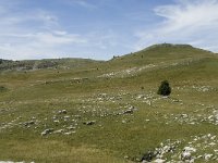 F, Drome, Treschenu-Creyers, Vallon de Combeau 97, Saxifraga-Willem van Kruijsbergen