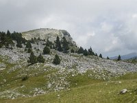 F, Isere, Gresse-en-Vercors, Montaveilla 2, Saxifraga-Willem van Kruijsbergen