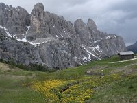 I, Sued-Tirol, Wolkenstein, Groedner Joch 53, Saxifraga-Willem van Kruijsbergen