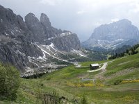 I, Sued-Tirol, Wolkenstein, Groedner Joch 55, Saxifraga-Willem van Kruijsbergen