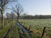 B, Antwerpen, Merksplas, Koekhoven  10, Saxifraga-Willem van Kruijsbergen