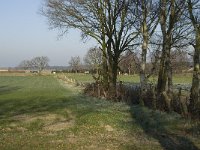 Intensively used Meadows-Intensief gebruikte weilanden