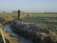 B, Antwerpen, Merksplas, Koekhoven, Zandvenheide 2, Saxifraga-Willem van Kruijsbergen