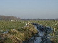 B, Antwerpen, Merksplas, Koekhoven, Zandvenheide 3, Saxifraga-Willem van Kruijsbergen