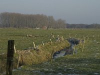 B, Antwerpen, Merksplas, Koekhoven, Zandvenheide 4 Saxifraga-Willem van Kruijsbergen