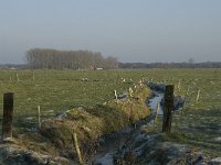 B, Antwerpen, Merksplas, Koekhoven, Zandvenheide 7 Saxifraga-Willem van Kruijsbergen