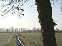 B, Antwerpen, Merksplas, Koekhoven, Zandvenheide 8 Saxifraga-Willem van Kruijsbergen