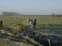 B, Antwerpen, Merksplas, Koekhoven, Zandvenheide 9 Saxifraga-Willem van Kruijsbergen