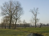 B, Antwerpen, Wortel, Bolkse Brug 17, Saxifraga-Willem van Kruijsbergen