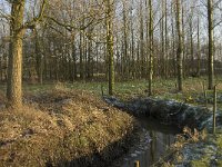 B, Antwerpen, Wortel, Bolkse Brug 18, Saxifraga-Willem van Kruijsbergen