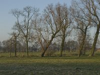 B, Antwerpen, Wortel, Bolkse Brug 19, Saxifraga-Willem van Kruijsbergen