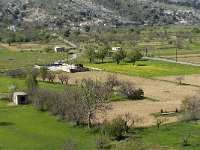 GR, Crete, Lasithi, Agios Georgios 11, Saxifraga-Jan van der Straaten