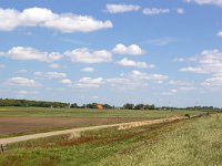 Typical rural landscape with dike of southwestern part of Dutch province Friesland  Typical rural landscape with dike of southwestern part of Dutch province Friesland : agricultural, agriculture, cloudscape, europe, european, farmland, grass, grassland, Holland, landscape, meadow, pasture, room, rural, sky, skyscape, field, no people, nobody, outdoors, outside, dike, road