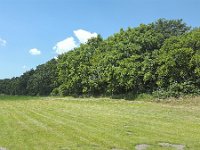 Cliff of boulder clay overgrown with trees, Friesland, Netherlands  Cliff of boulder clay overgrown with trees, Friesland, Netherlands : blue sky, boulder, boulder clay, boulders, cliff, cliffs, Dutch, Europe, European, forest, Friesland, Frisian, geology, grass, green, high, Holland, Mirnser klif, Netherlands, no people, nobody, Oudemirdum, outdoors, outside, overgrown, rural, rural landscape, rural scene, sky, soil, summer, summertime, tree, trees