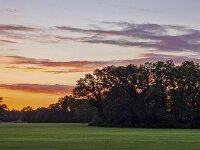 Sunset over rural landscape in eastern part of Dutch province Gelderland  Sunset over rural landscape in eastern part of Dutch province Gelderland : Winterswijk, Netherlands, Dutch, Holland, nature, natural, farm, farmland, grass, grassy, grassland, field, tree, trees, rural landscape, landscape, rural scene, non-urban landscape, non-urban scene, outside, outdoor, outdoors, no people, nobody, summer, summertime, cloud, clouds, cloudy, sky, skyscape, sunset, evening, twilight, red, orange, forest, Achterhoek, Gelderland