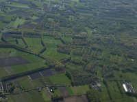 NL, Noord-Brabant, Best, Voorste Broek 1, Saxifraga-Willem van Kruijsbergen