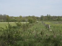 NL, Noord-Brabant, Goirle, Landgoed De Hoevens 1, Saxifraga-Willem van Kruijsbergen