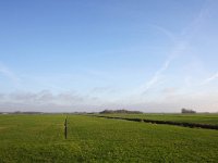 NL, Zuid-Holland, Midden-Delfland, Eendenkooi Schipluiden 1, Saxifraga-Bart Vastenhouw