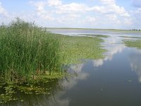 H, Hajdu-Bihar, Hortobagy NP 3, Saxifraga-Henk Sierdsema